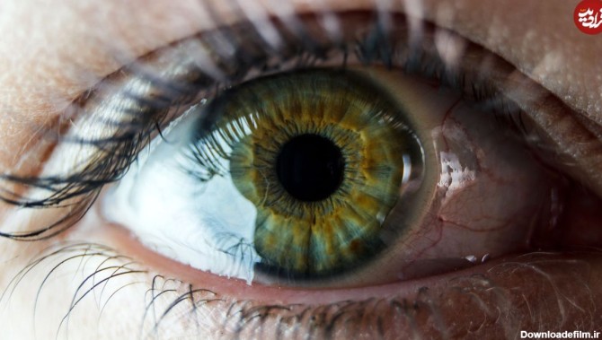 فرارو | کمیاب‌ترین «رنگ چشم» جهان چه رنگی است؟