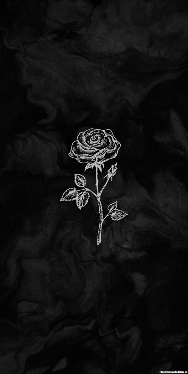 عکس زمینه نقاشی گل رز سیاه و سفید هنری پس زمینه | والپیپر گرام