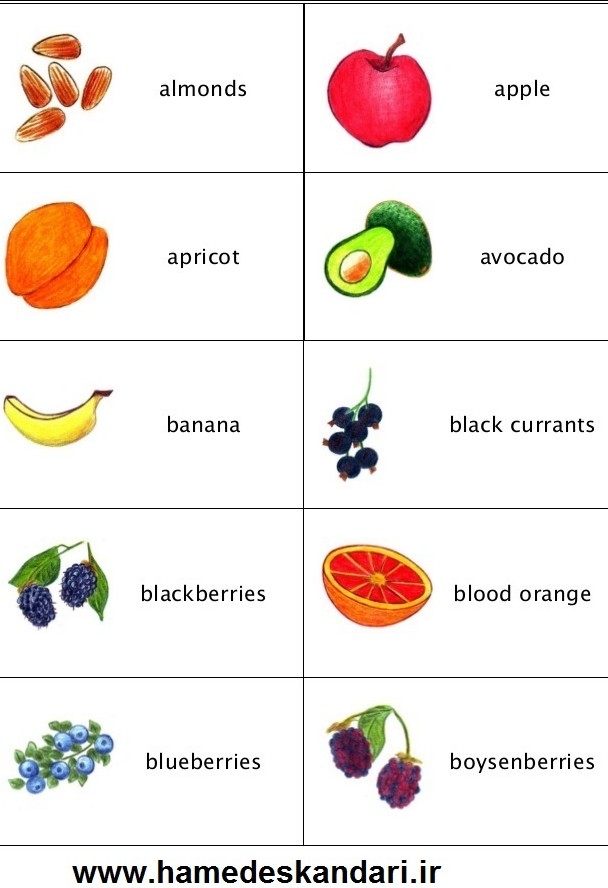 حامد اسکندری | میوه ها در زبان انگلیسی ( fruits )