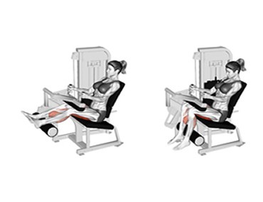 عکس عضلات درگیر حرکت پشت پا دستگاه نشسته