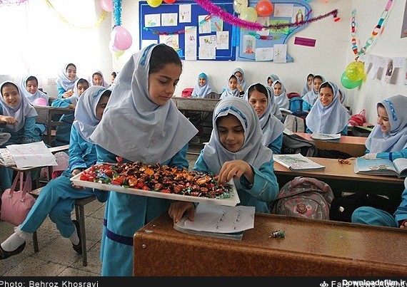 آذین بندی مدارس در ایام دهه فجر - مازندران (عکس)