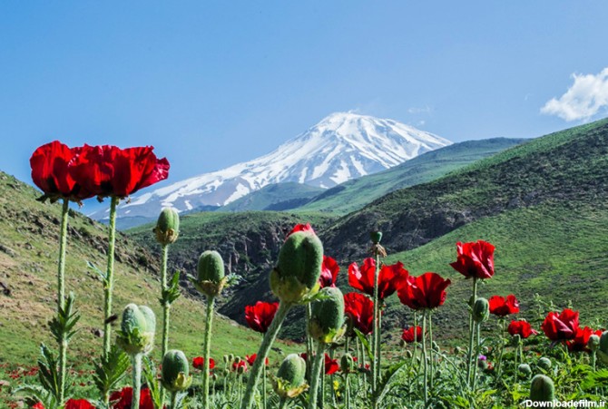 آشنایی با دره های زیبای ایران زمین | وبلاگ اقامت 24