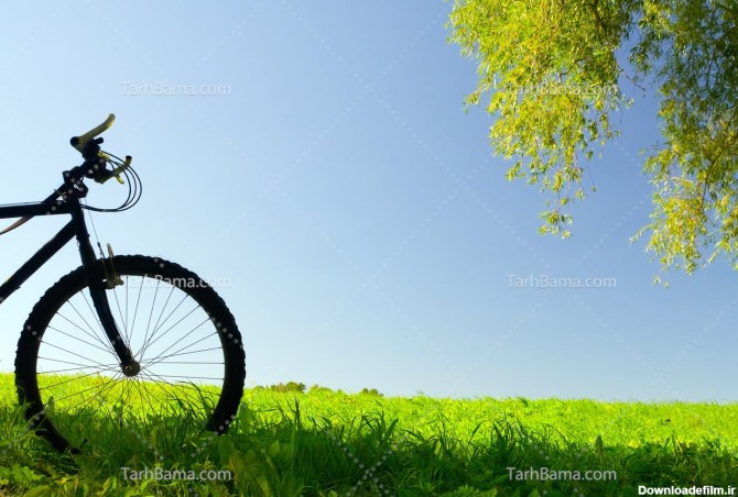 تصویر با کیفیت دوچرخه در طبیعت تابستان