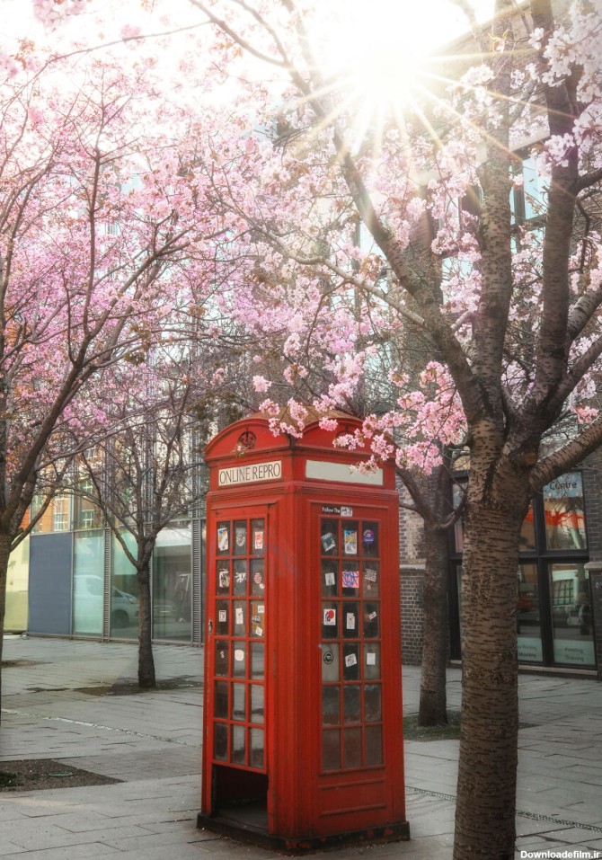 زیبایی خیره‌کننده بهار در لندن
