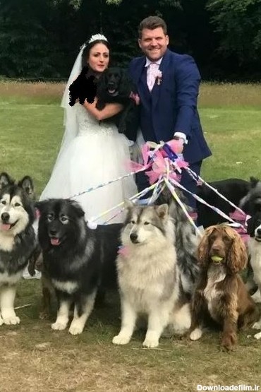 عکس عروس داماد با سگ