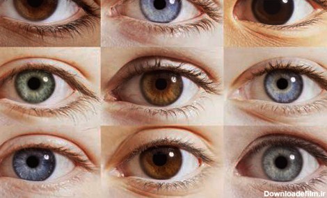 چند درصد مردم جهان چشم رنگی دارد؟ | رویداد24