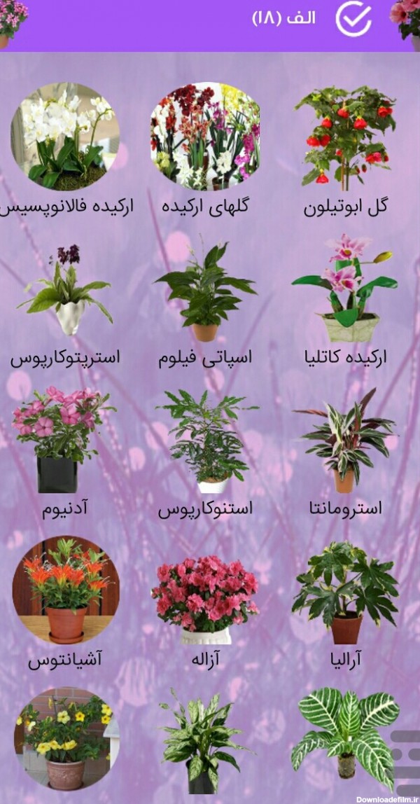 اسامی گل ها با عکس