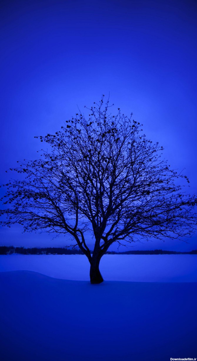 پکیج 10 عددی تصویر زمینه فوق العاده زیبا با تم آبی برای ...