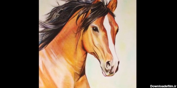 نقاشی سر اسب با مداد رنگی