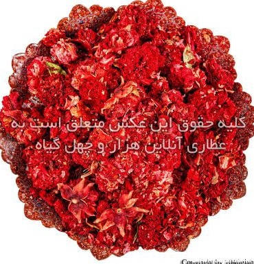 عکس گل انار فارسی خشک