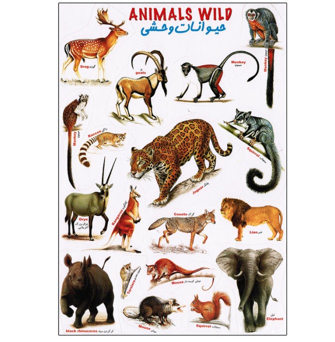 قیمت و خرید برچسب مدل حیوانات وحشی کد 1156