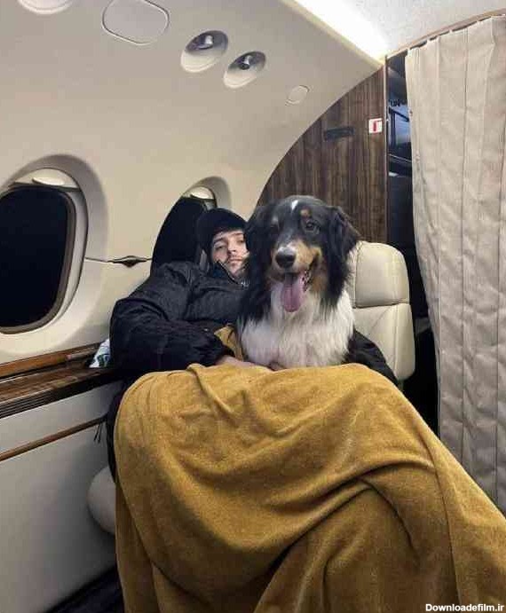 سردار آزمون و سگش در هواپیما