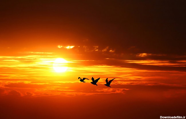 عکس های فوق العاده زیبا از طلوع و غروب خورشید | www.Alamto.Com