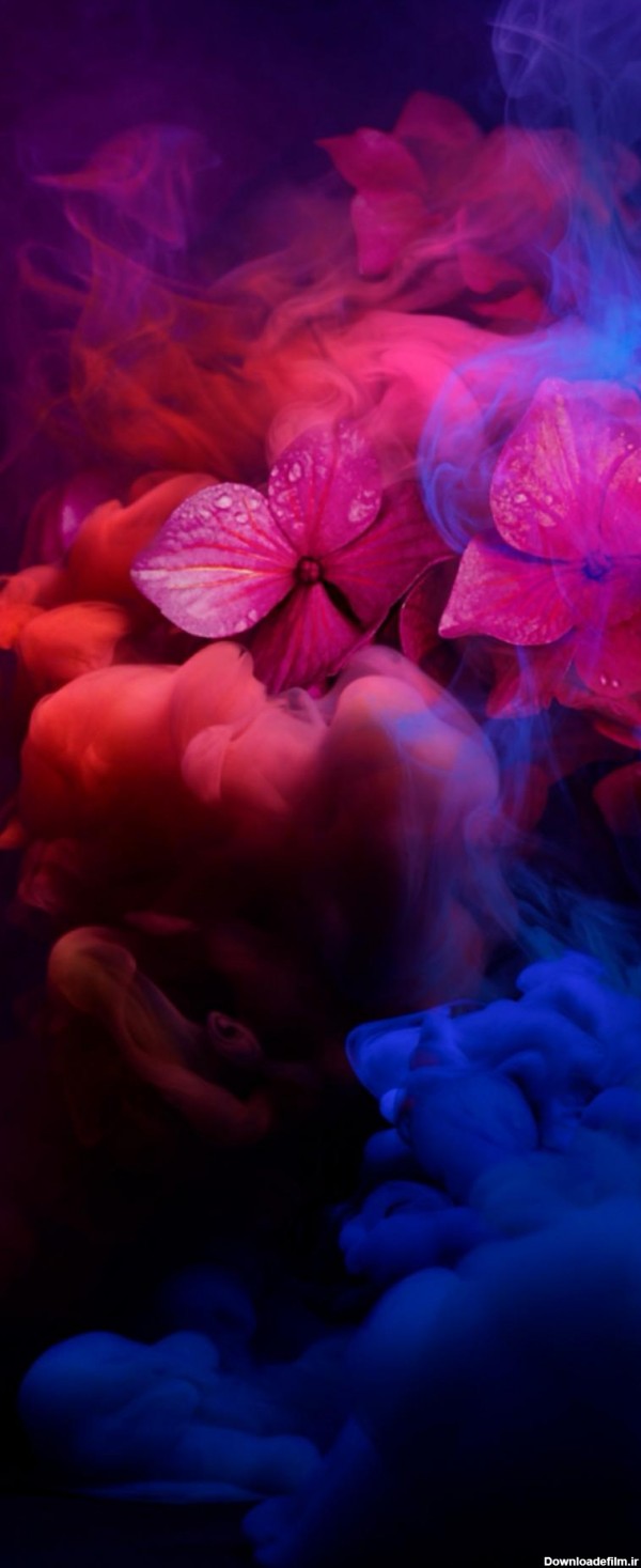 پس زمینه گوشی نوا 8i هواوی با طرح گل های غرق شده در دودهای رنگی