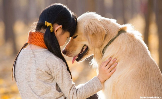 بیماری های قابل انتقال از سگ به انسان