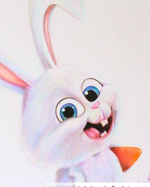 عکس خرگوش عروسکی