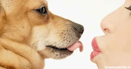 مشاوره رابطه جنسی با حیوانات - کافه مشاور آنلاین تلفنی