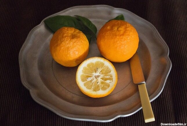 بهار نارنج ،بی ضرر ترین و خوشبو ترین میوه، آن را دست کم نگیرید