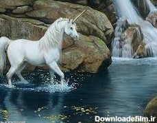 کی دوست داره این اسب رو داشته باشه؟ :: گل یاس
