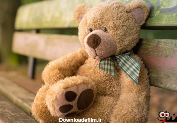 مجموعه عکس خرس عروسکی بزرگ + عاشقانه + فانتزی❤️+ ویدیو