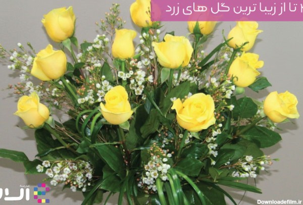 23 تا از زیبا ترین گل های زرد