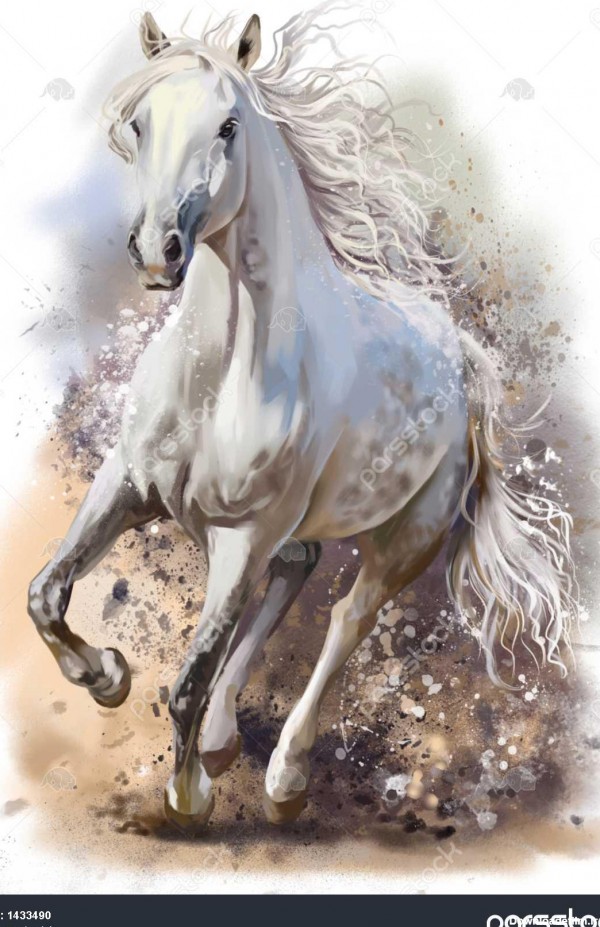 اسب سفید بر روی نقاشی آبرنگ اجرا می شود 1433490