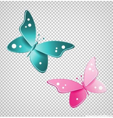 تصویر دو پروانه آبی و صورتی با فرمت پی ان جی و فاقد بکگرند
