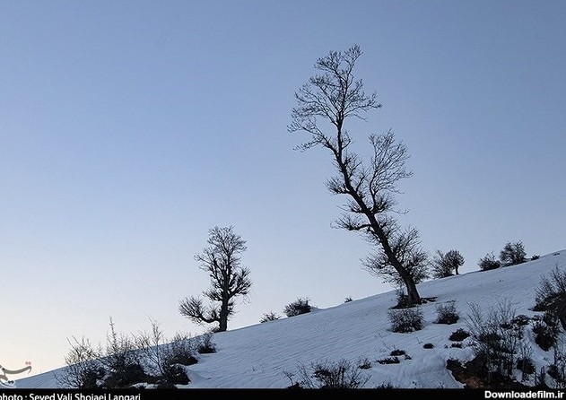 تصاویر| طبیعت برفی ارتفاعات مازندران