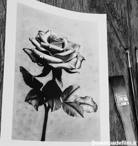 قیمت و خرید طراحی سیاه قلم تابلو گل رز