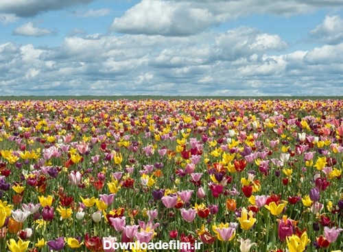عکس مناظر زیبای بهاری - طبیعت در بهار - عکس های دیدنی و زیبا