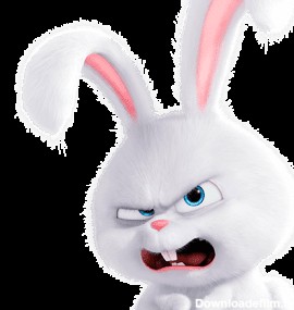 Download Free Rabbit PNG Images – PARSPNG