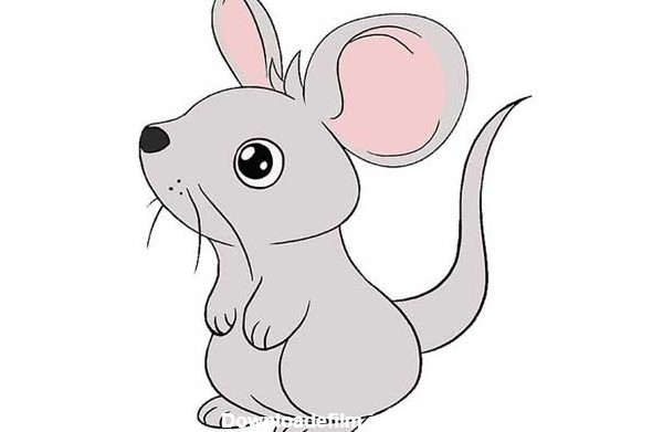 نقاشی موش: آموزش گام به گام ترسیم ساده موش - هنر فردی