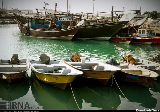 ماهی و میگو در اسکله های بوشهر (عکس)