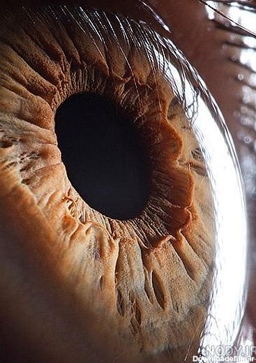 عکس چشم واقعی نیکا فلاحی ۱۴۰۰ - عکس نودی