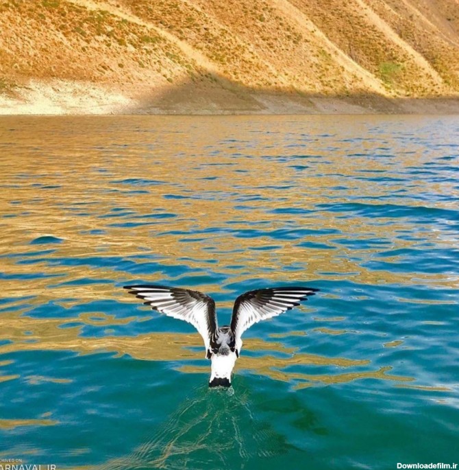 دریاچه های تار و هویر | آدرس ، عکس و معرفی (1403) ☀️ کارناوال