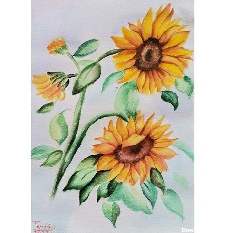 خرید و قیمت نقاشی گل آفتابگردان | ترب