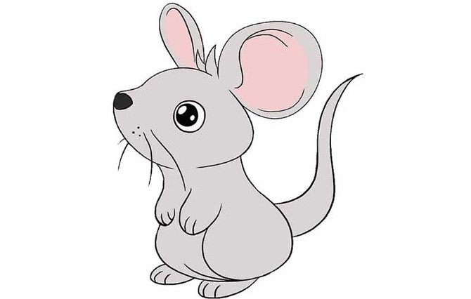 نقاشی موش: آموزش گام به گام ترسیم ساده موش - هنر فردی