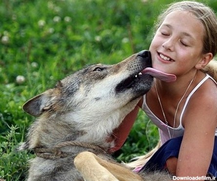 رابطه عجیب دختر 10 ساله با گرگ ها! (+عکس)