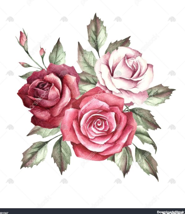 عکس یک گل زیبا برای نقاشی