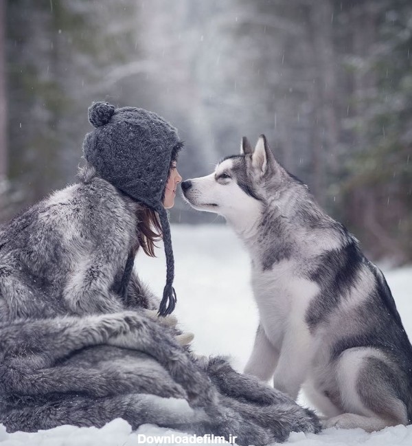 عکس جالب از گرگ و دختر کنار هم د روز برفی زمستانی