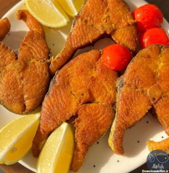 ماهی شیر بوشهر