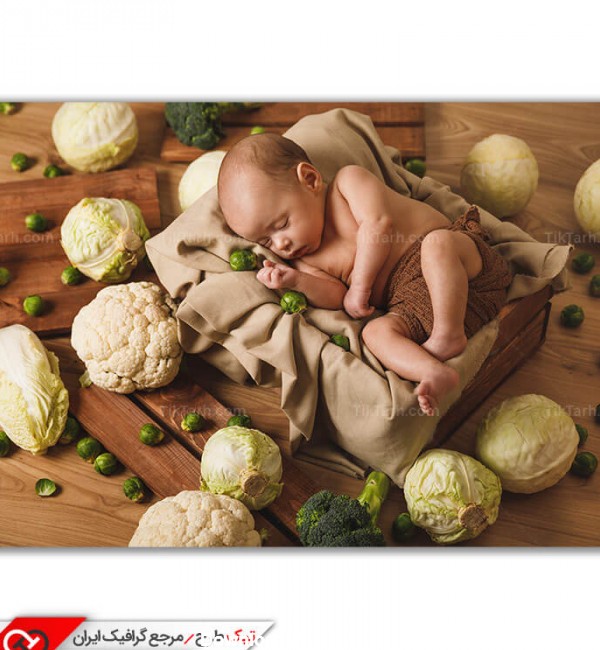 دانلود عکس با کیفیت نوزاد در جعبه سبزیجات
