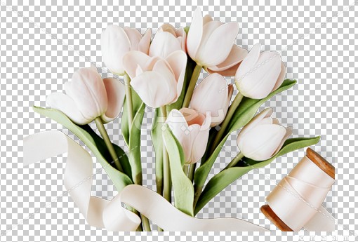 Borchin-ir-a bunch of pink tulip flower عکس دسته گل لاله های سفید۲