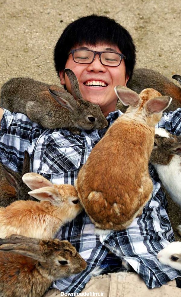جزیره خرگوش ها در ژاپن-@ITPetnet