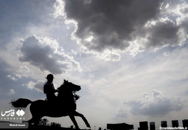 اولین جشنواره «شو سواری» اسب های اصیل در اَهَر | خبرگزاری فارس