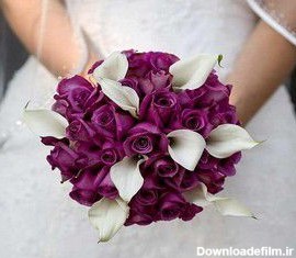 عکس مدلهای دسته گل عروس با رنگ ارغوانی و بنفش