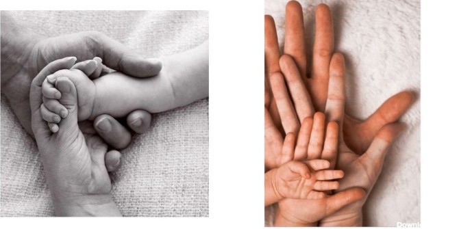 دست نوزاد در کنار دستان پدر و مادر