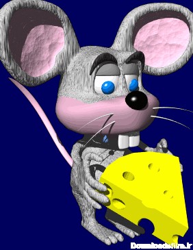 Animated gifs - MICE & RATS