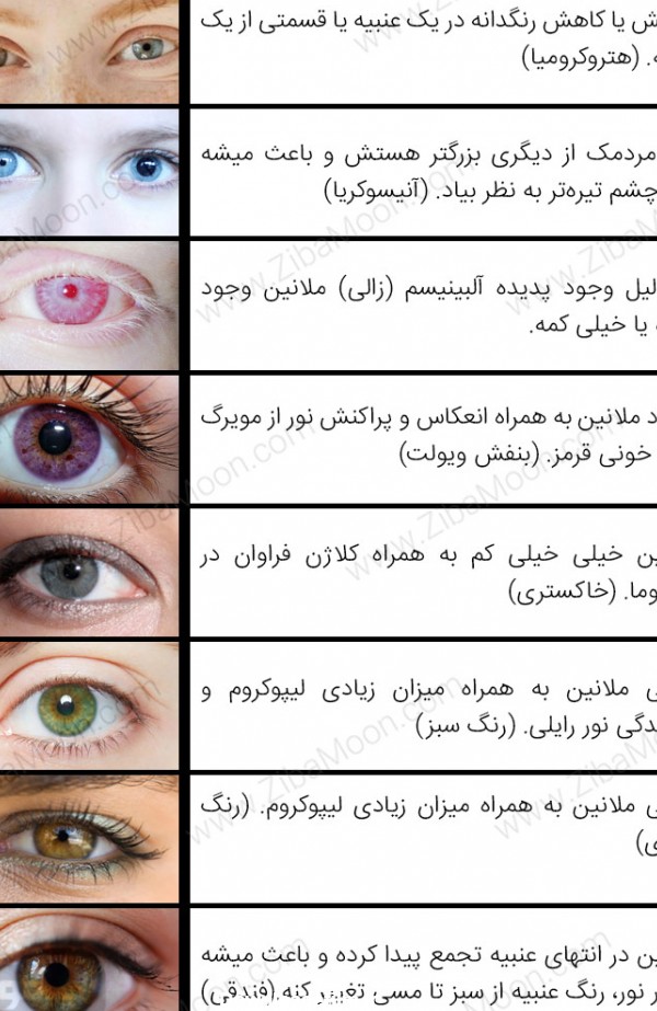 رنگ چشم های خاص و زیبا، دلایل کامل تشکیل + عکس - زیبامون
