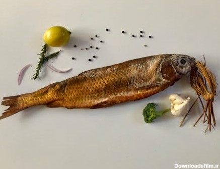 ماهي دودي - زودفیش - خرید ماهی - فروش آنلاین ماهی خوراکی ...